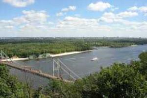 В Днепре массово вымирает рыба