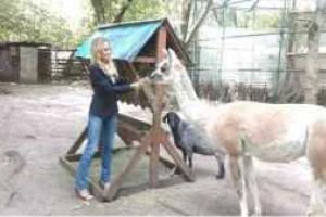 Российский беспредел: В Москве спецназ расстрелял животных контактного зоопарка