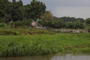 На месте крушения самолета в Южном Судане найдены 40 тел 