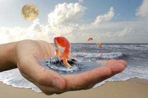 Сегодня вечером всем необходимо загадать желание, - нумеролог