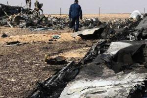 Участники поисковой операции на Синае пройдут принудительный курс реабилитации