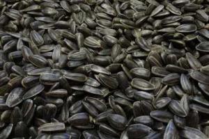 В России 9-месячного ребенка убила семечка подсолнечника