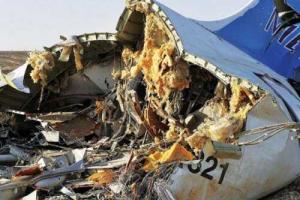 Отец погибшей пассажирки А321: Виновников теракта нужно мучить 224 дня 