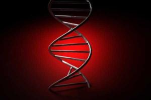 Ученые обнаружили в организме человека «часы смерти» 