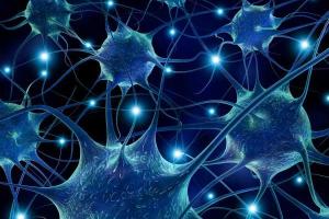 Российские ученые смогут "обуздать" рак и шизофрению