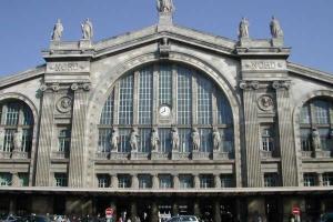 Вокзал в Париже эвакуировали из-за голубя, задевшего провода 