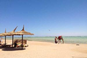 Россияне теперь не смогут попасть в Египет даже через другие страны 