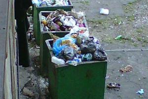 В Мариуполе жители азовмашевского общежития задыхаются от зловония и пугаются мертвых крыс