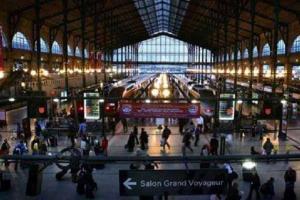 В Париже из-за погибшего голубя эвакуировали Северный вокзал