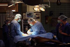 В США человеку впервые пересадили лицо