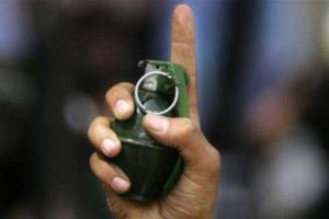 Двор дома адвоката Шапакина забросали гранатами, разорвало собаку