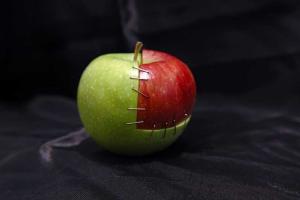 Почему успешные люди роются в мусорниках, или Кто такие фриганы