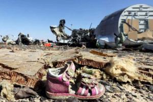 Появились первые сведения из "черных ящиков" разбившегося авиалайнера Airbus321