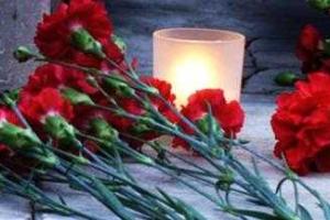 В Петербург доставили тела 144 пассажиров, погибших в авиакатастрофе над Синайским полуостровом