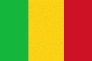 Штурм отеля в Мали: удалось освободить 80 заложников