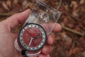 Грузин с компасом и едой шел через Беларусь в ЕС