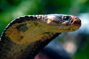 18-летний американец совершил суицид необычным способом 