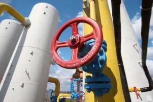 Украина в состоянии пережить несколько зим без российского газа 