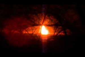 Силы АТО нанесли урон боевикам под Новотошковкой на Луганщине