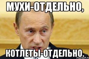 Путин больше не повелитель мух. Он сам стал мухой, - Рабинович