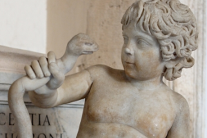 Бразильский мальчик загрыз насмерть ядовитую змею