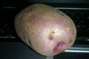 Британка получила инфаркт от удара картофелем