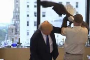 На Дональда Трампа напал орел. Видео