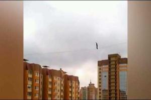 В Воронеже экстремал прошелся по кабелю, натянутому между высотными домами. Видео