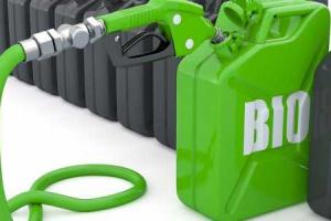 Украинские ученые изобрели новый способ производства биотоплива из растений