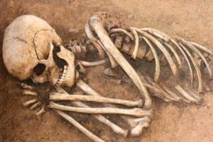 В центре Санкт-Петербурга в подъезде дома нашли скелет