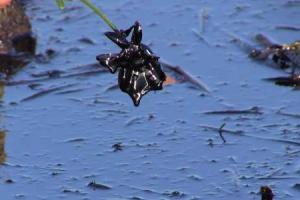 В Оренбургской области РФ прорвало нефтепровод