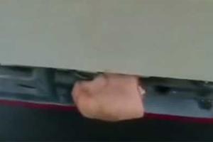 В Европе дальнобойщики отпугивают нелегалов свининой