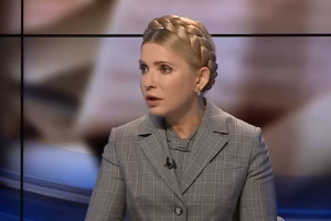 Фракция "Батькивщина" не поддержит правительственный проект Налогового кодекса
