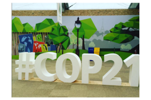 Участники конференции ООН одобрили новое глобальное соглашение по климату