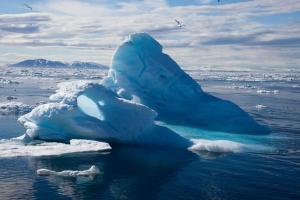 Температура в Арктике стала рекордно высокой за последние 115 лет