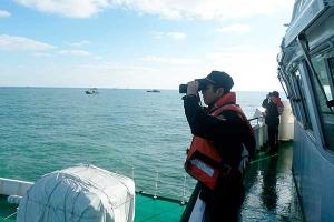 В Японию приплыло 11 лодок с трупами