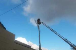 Центр Мариуполя оставили без деревьев. Видео