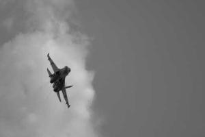 Китайский истребитель с двумя сотнями снарядов на борту разбился из-за птицы