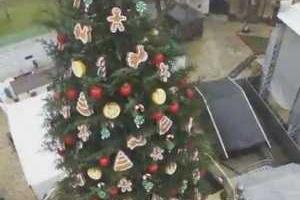 Главную новогоднюю елку показали с высоты птичьего полета. Видео