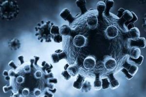 Медики нашли в курином мясе новый смертельный вирус