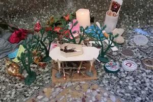 Американские студенты с почестями похоронили таракана