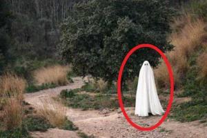 Новой звездой Instagram стало привидение