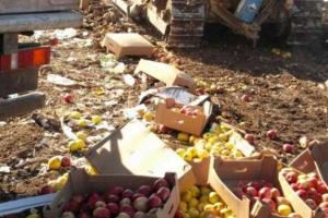 57 тонн белорусских фруктов уничтожили в России