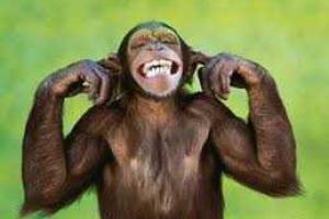 Чтобы 2016 год был счастливым, достаточно сделать 3 простых вещи