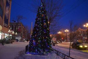 В Донецке возле супермаркетов "выросли" новогодние елки