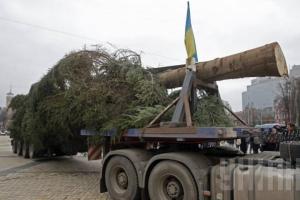 Стало известно какой высоты будет новогодняя ёлка в Киеве