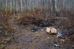 В лесу под Полтавой собака откопала труп пропавшей без вести студентки