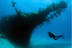 У берегов Италии рыбак обнаружил затонувший корабль XII века