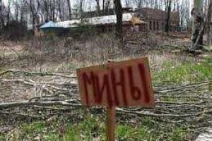 Двое пенсионеров погибли, подорвавшись на минах в Станице Луганской