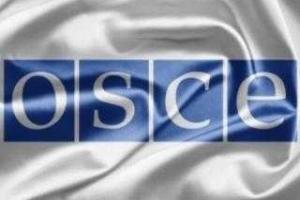 До конца недели в Горловке и Дебальцево откроются представительства ОБСЕ - Хуг